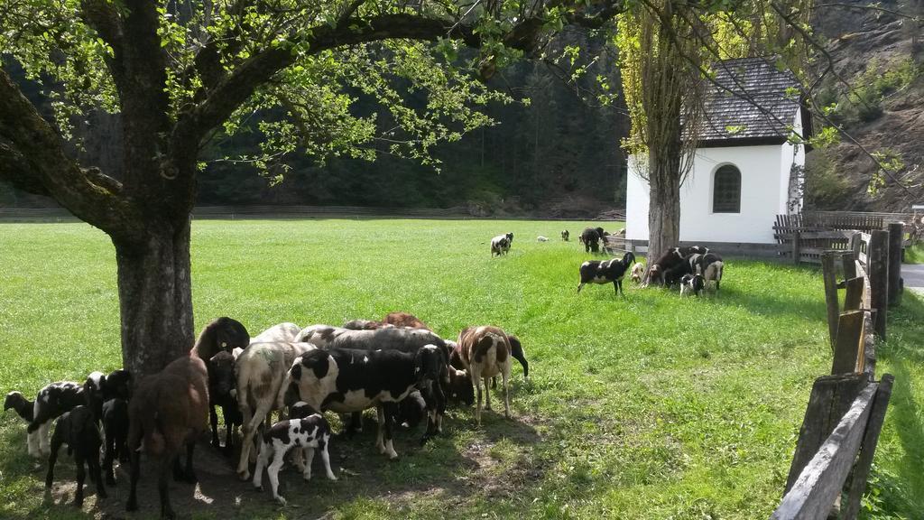 Hotel Haus Fiegl à Oetz Extérieur photo